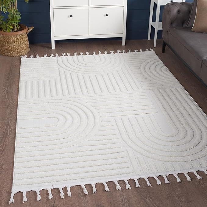 Super Soft and Plush Off White Geometric Circles Shag Area Rug with Fringe Tassels, Light Cream Stripes High-Low Carpet for Living Room Bedroom Dining Room Kitchen